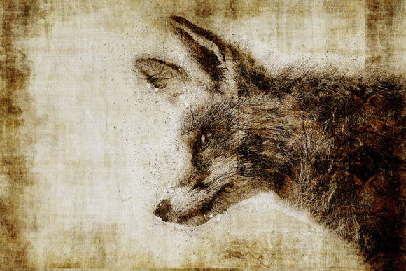 Decorative Animal Printables Pack 04: Instant Art for Your Walls