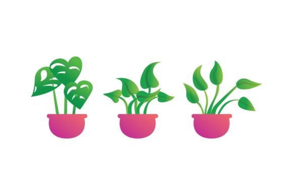 Flower Fast Decorative: Modern Typography for Bold Branding