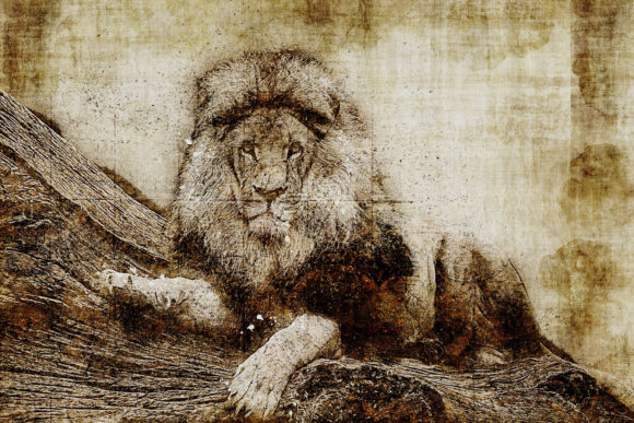 Unleash Your Wild Side with Decorative Animal Printables